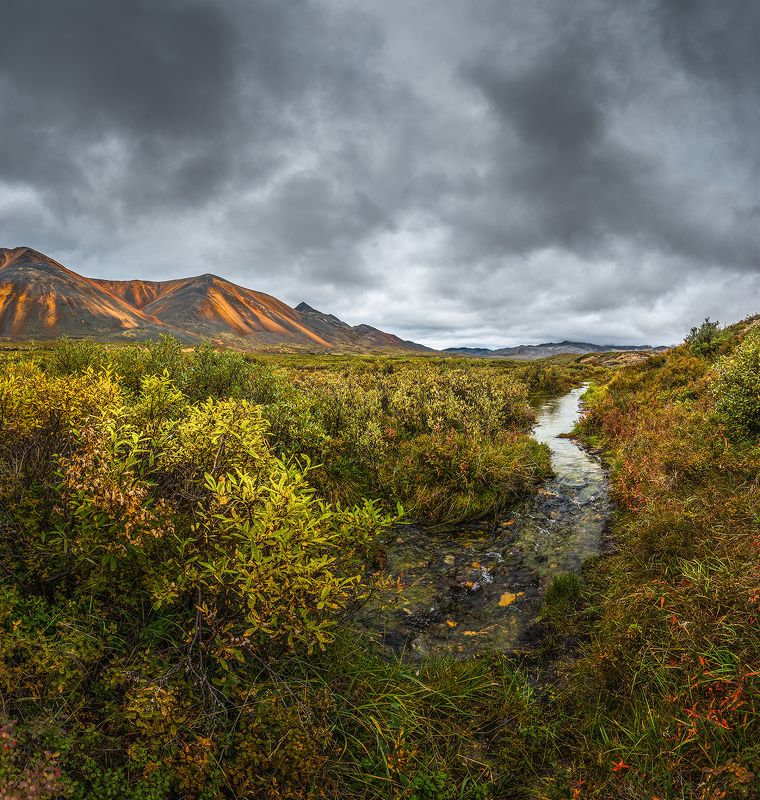 Чукотка 2023 фото превью