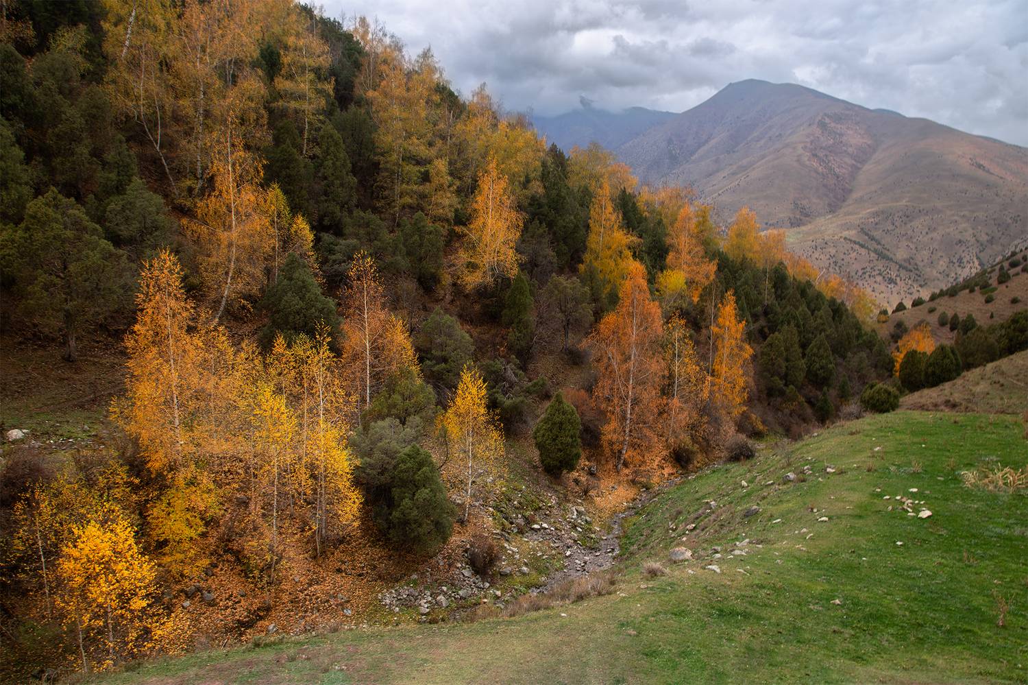 кыргызстан, ала-арча, Элина Магалимова