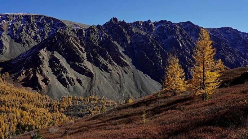 Алтай, Сибирь, Россия  фото превью