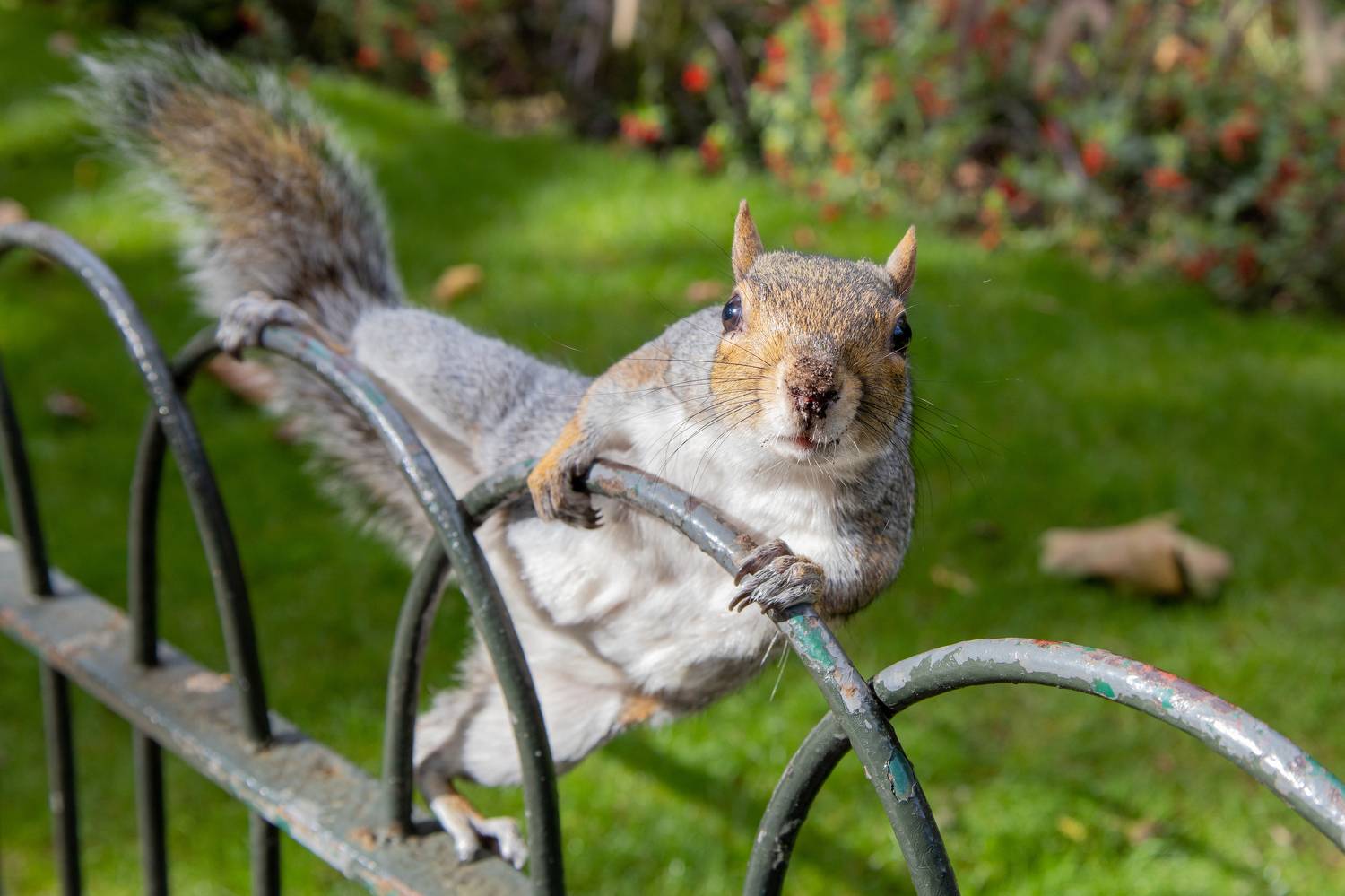 , Вадим Городницкий
