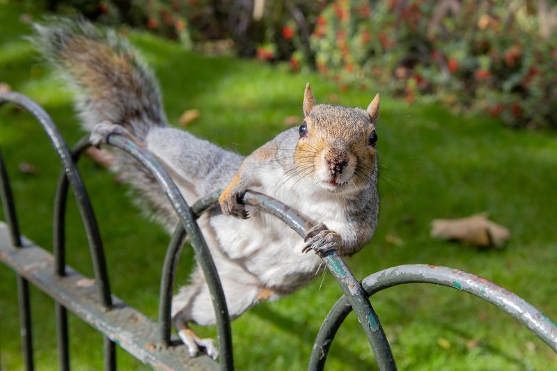 Любопытство не порок... фото превью