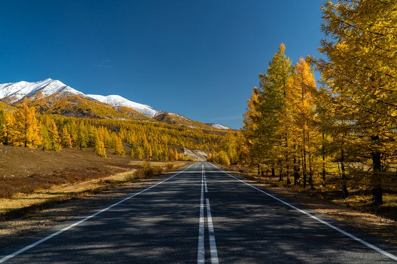 Дорога в осень фото превью