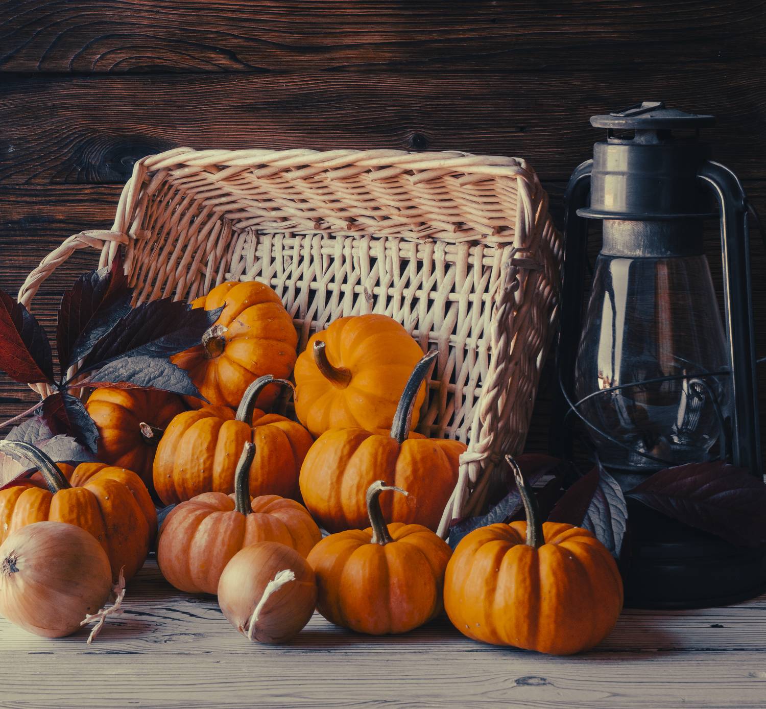 , Андрей Хаймин