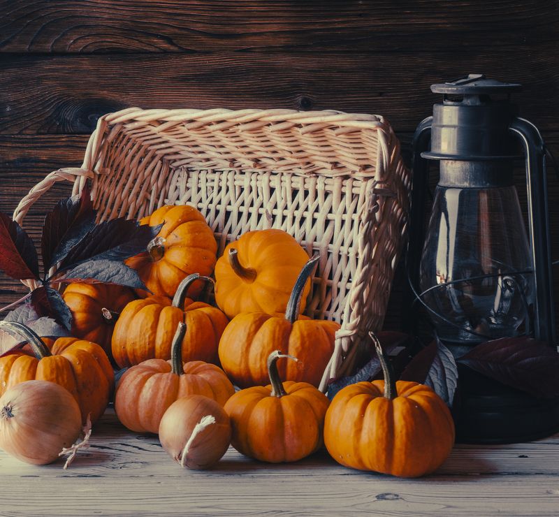 pumpkin фото превью