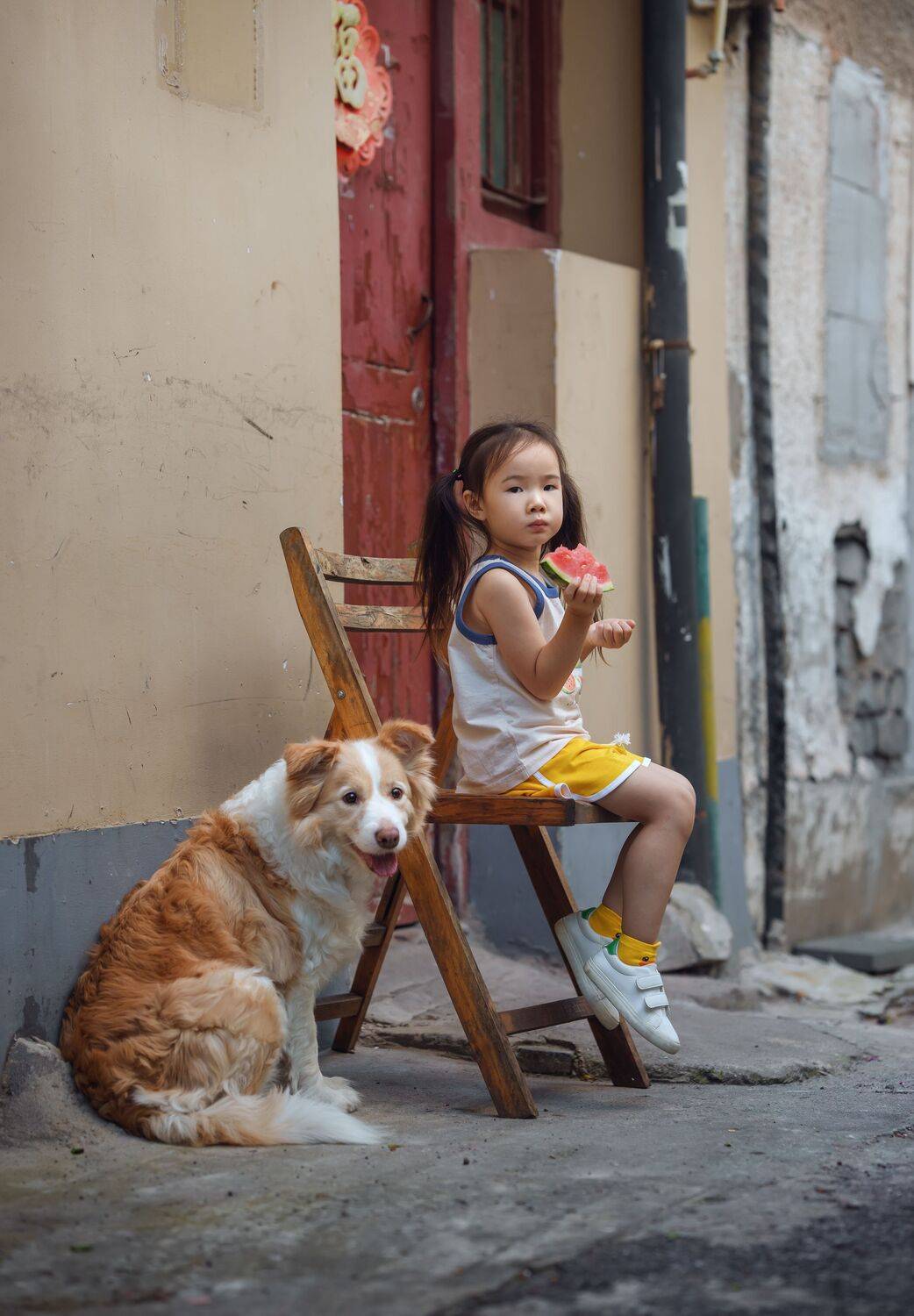 , 宠物摄影师狗哥