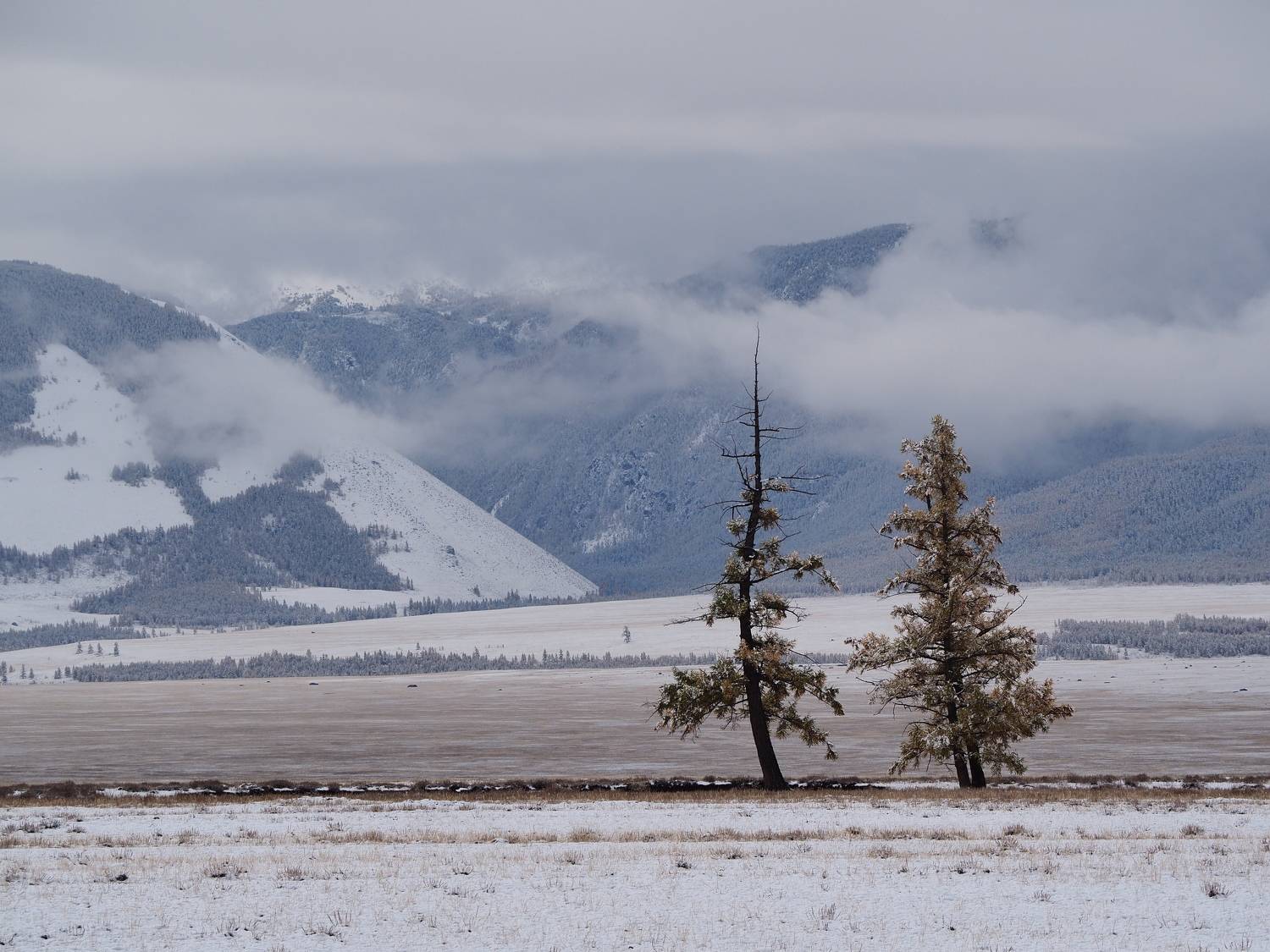 , Андрей Хаймин