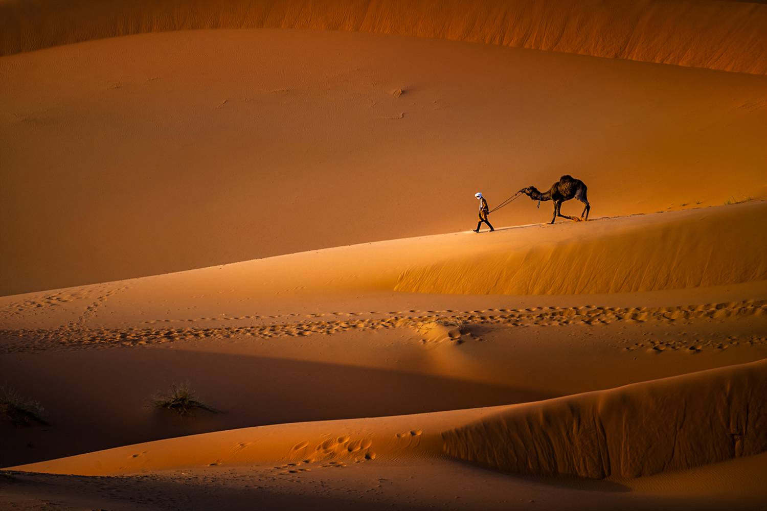 landscape nature scenery spring desert sahara sand berber bedouin sunset evening пейзаж закат пустыня, Александров Александър