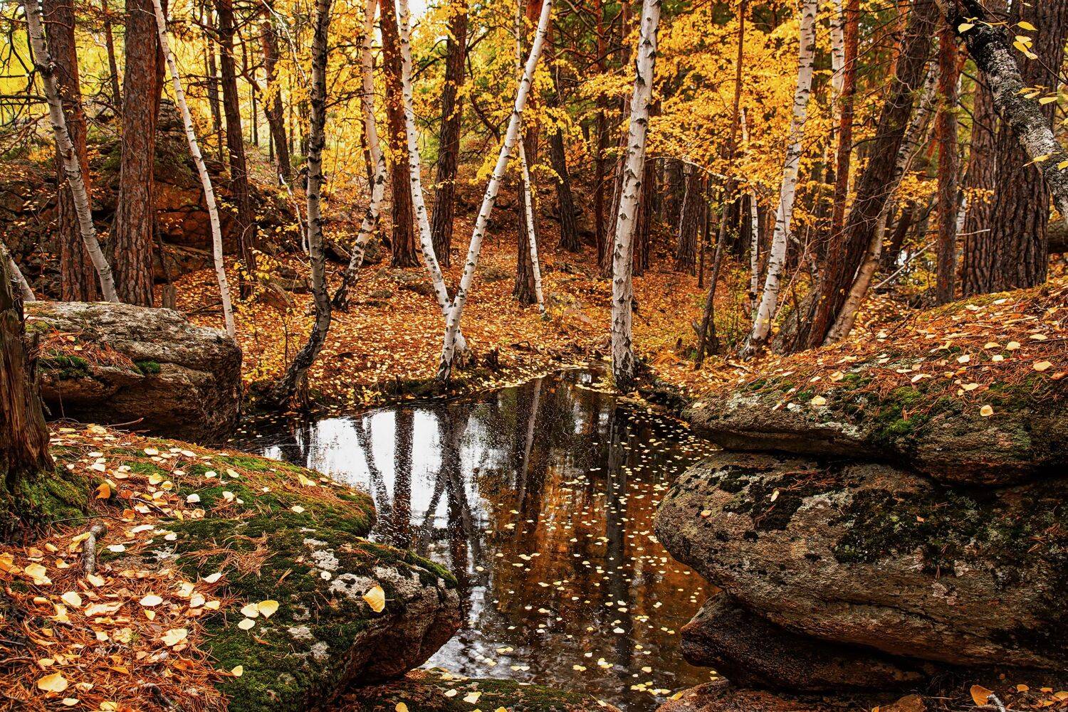 горы каркаралинск, Евгений Дроботенко