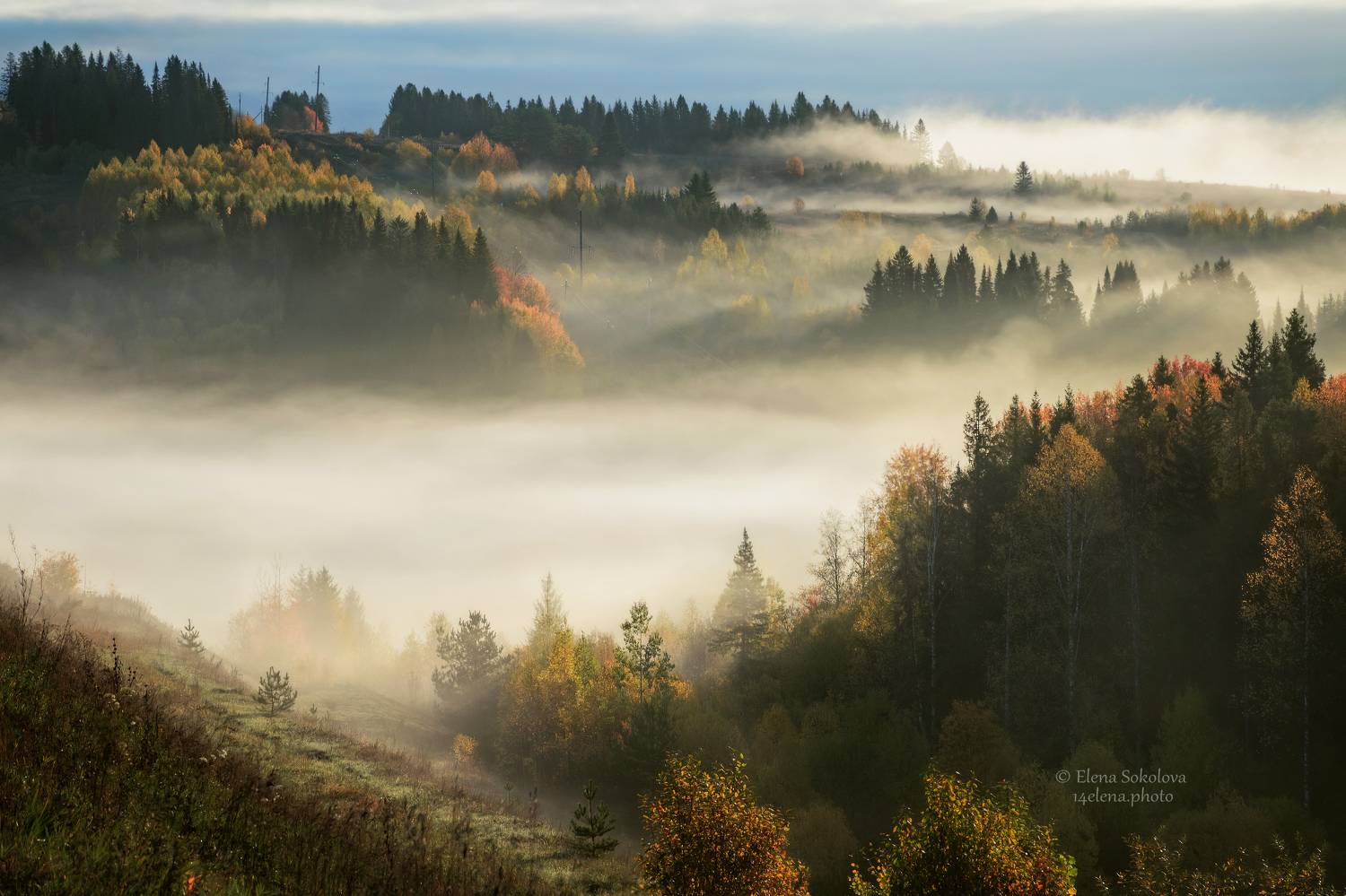 пейзаж, осень, утро, рассвет, туман, лес, Соколова Елена