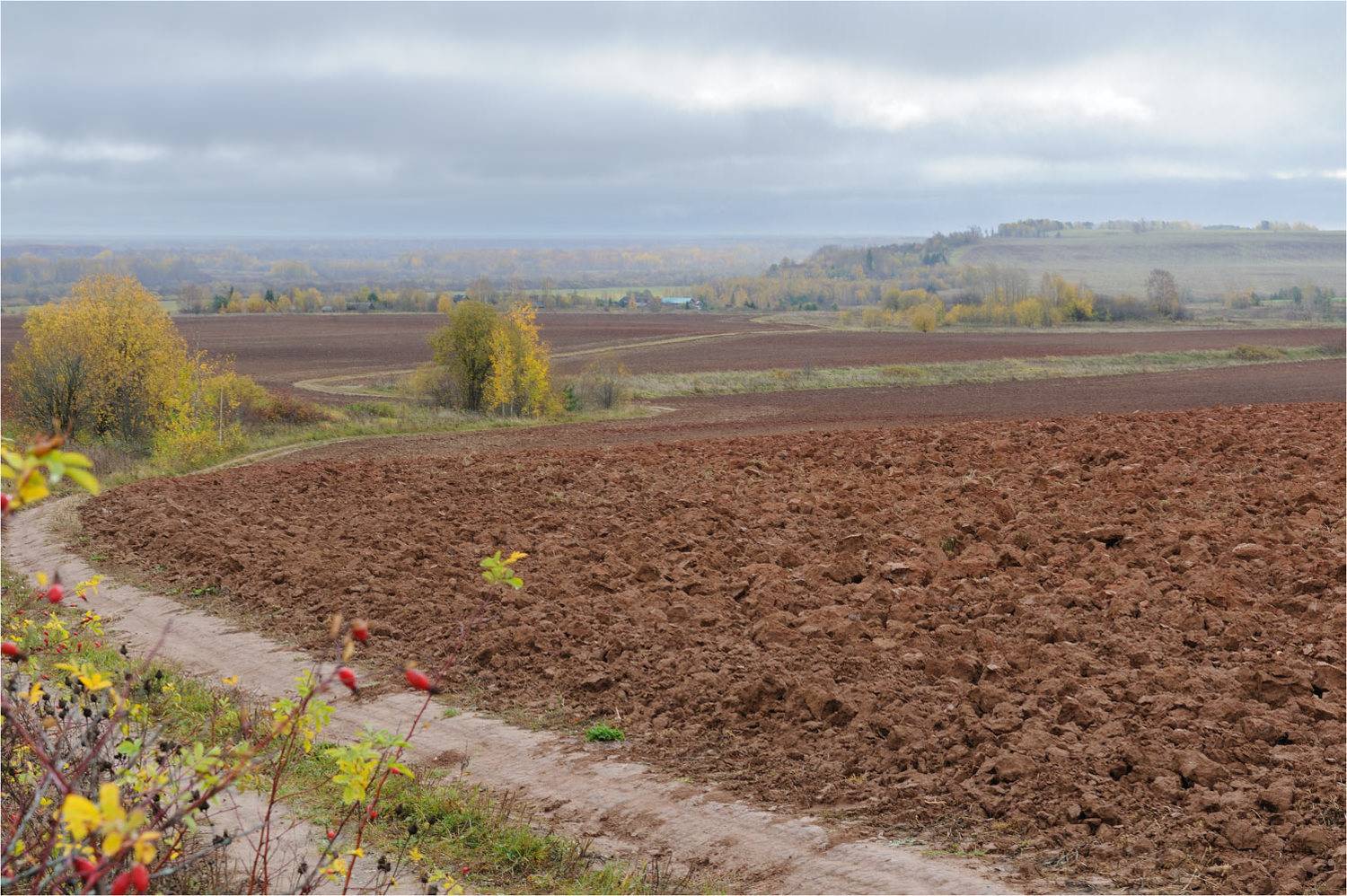 , Анатолий Гулин