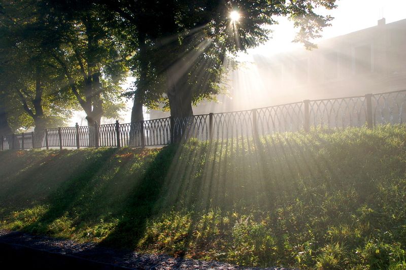 * фото превью