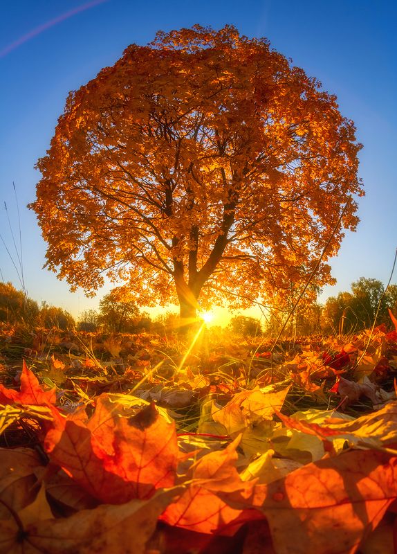 Беларусь Осеннее лето фото превью