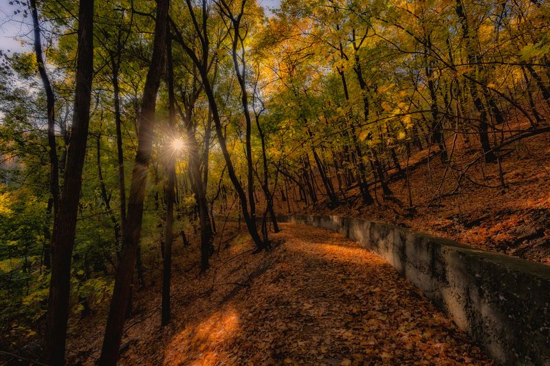 Осенней тропой.. фото превью