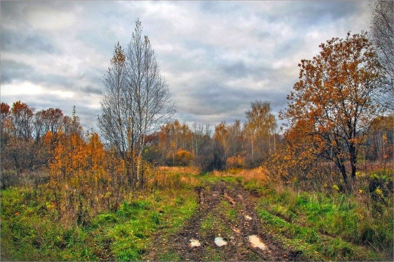 *** фото превью