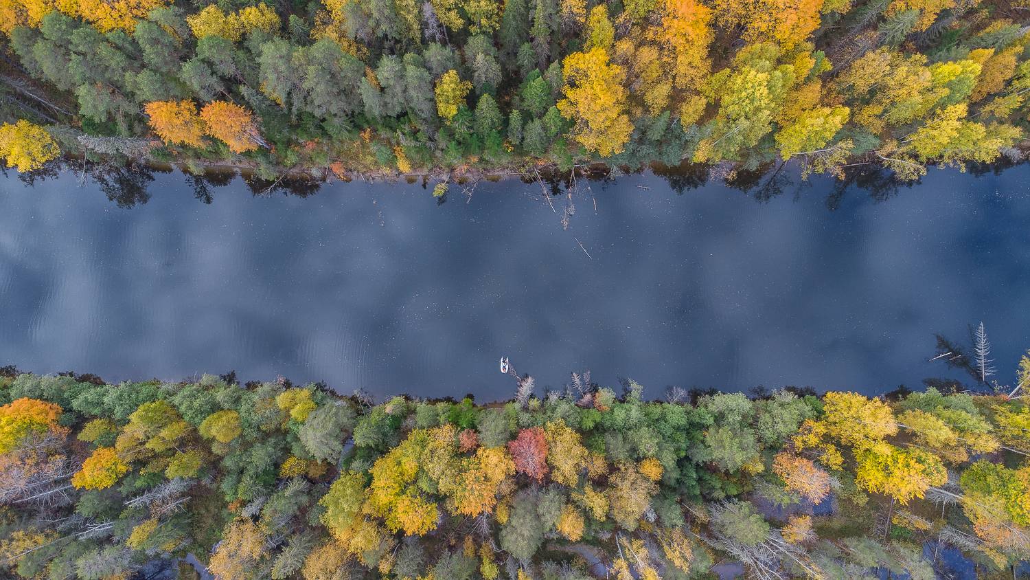 , Шуплецов Алексей
