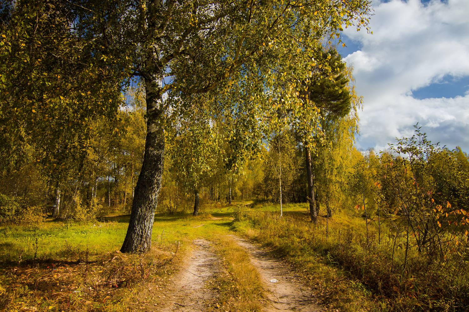 , Хвойнова Елена