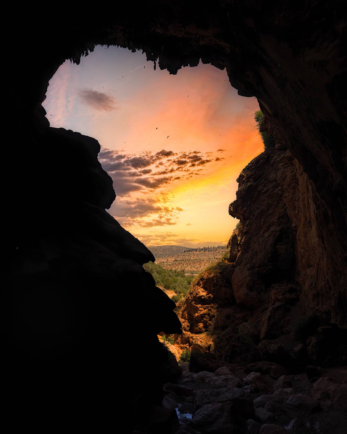 , Jose Pedrero Barrios