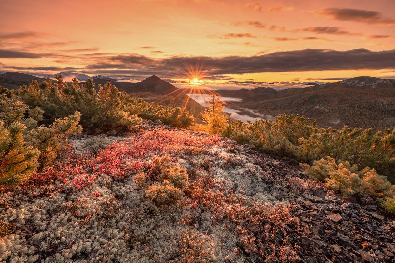 , Максим Евдокимов