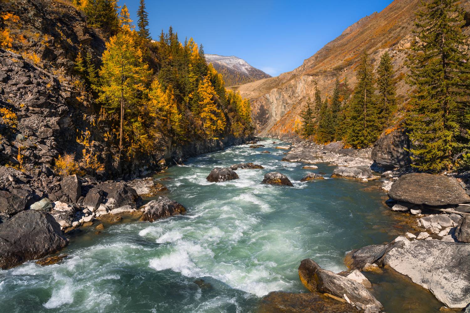 россия, горный алтай, река чуя, осень, Андрей Поляков