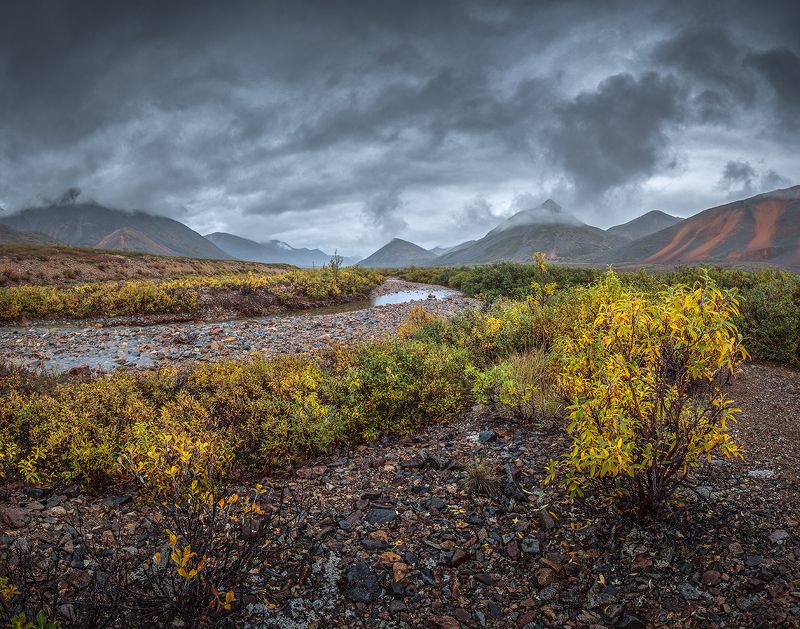 Чукотка 2023 фото превью