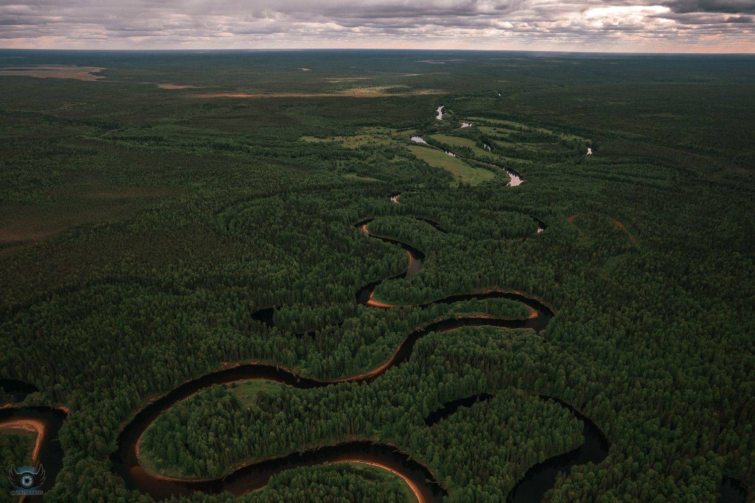 , Трушков Владислав