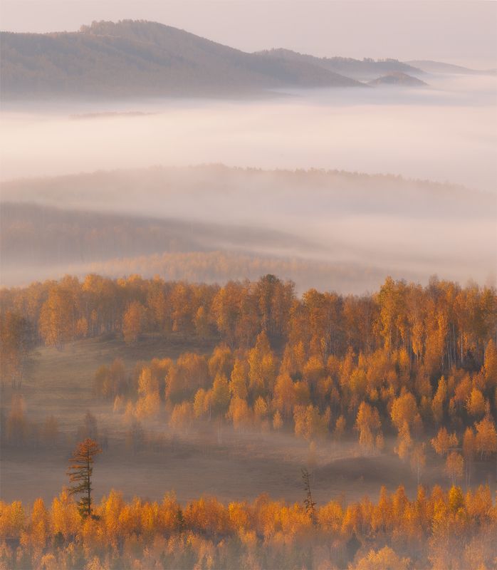 Забытые фото превью