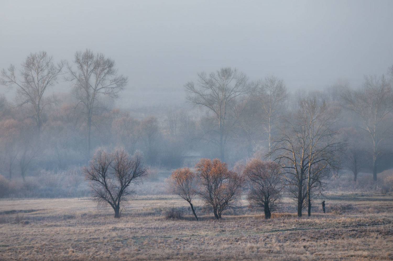 , Сергей Брагин