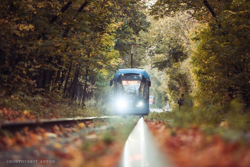 Осень фото превью