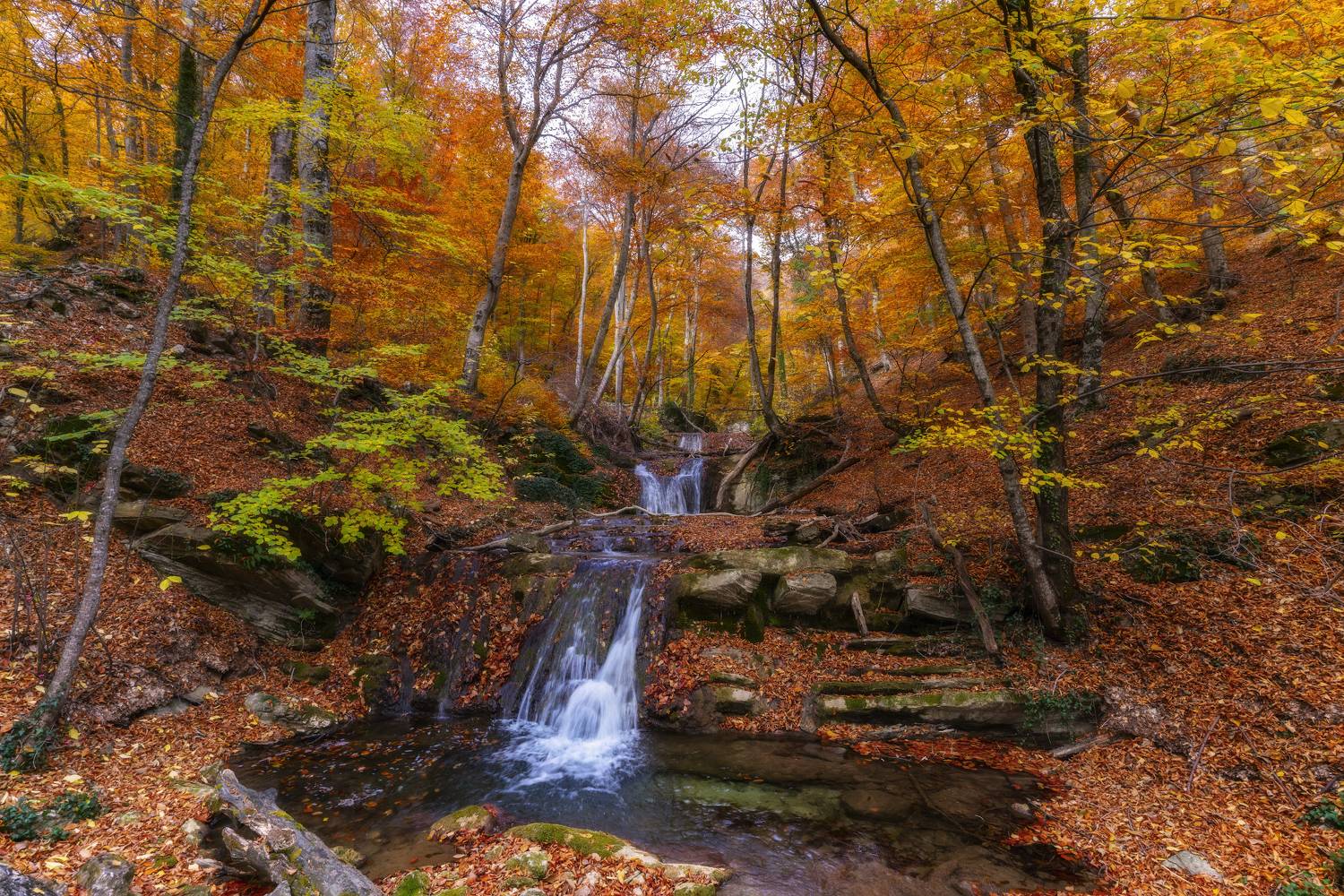 , Юлия Мальцева