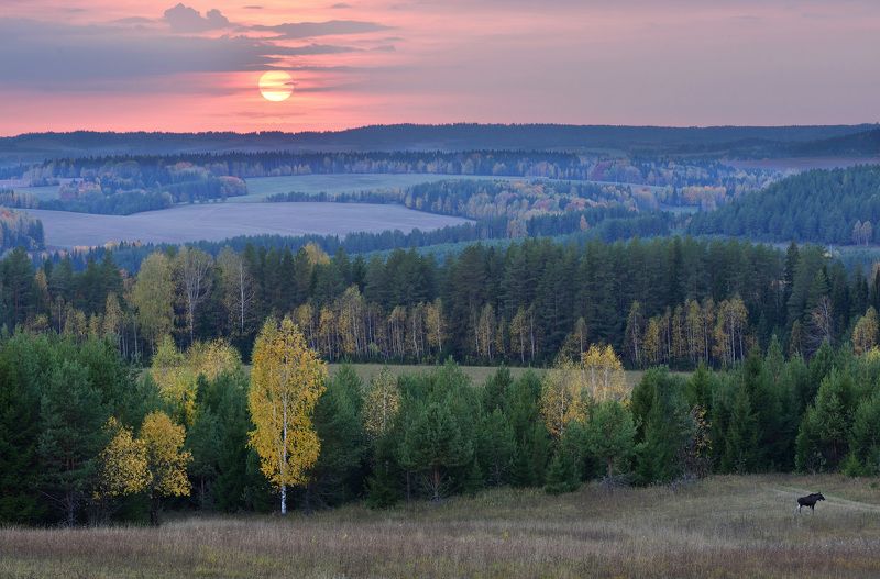 Лосиная пора фото превью