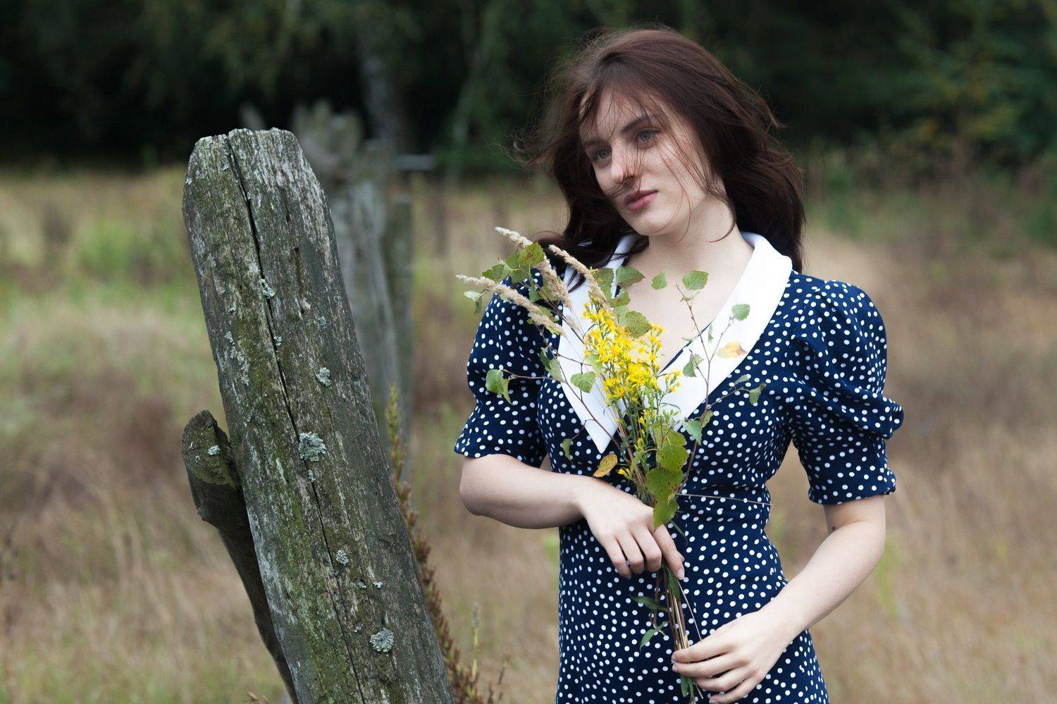 , Константин Побылой