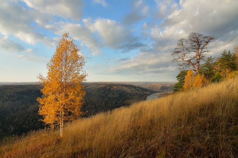 Осенние пейзажи в Сибири фото превью