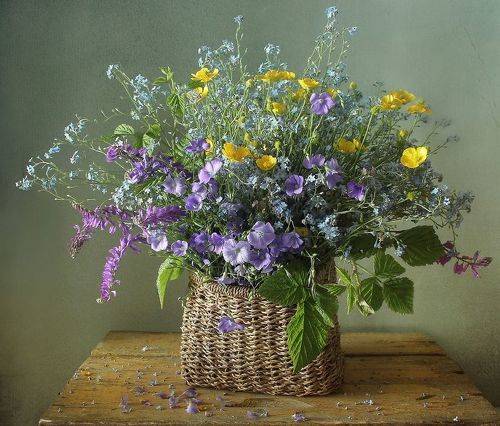 Когда цветёт в июне лён