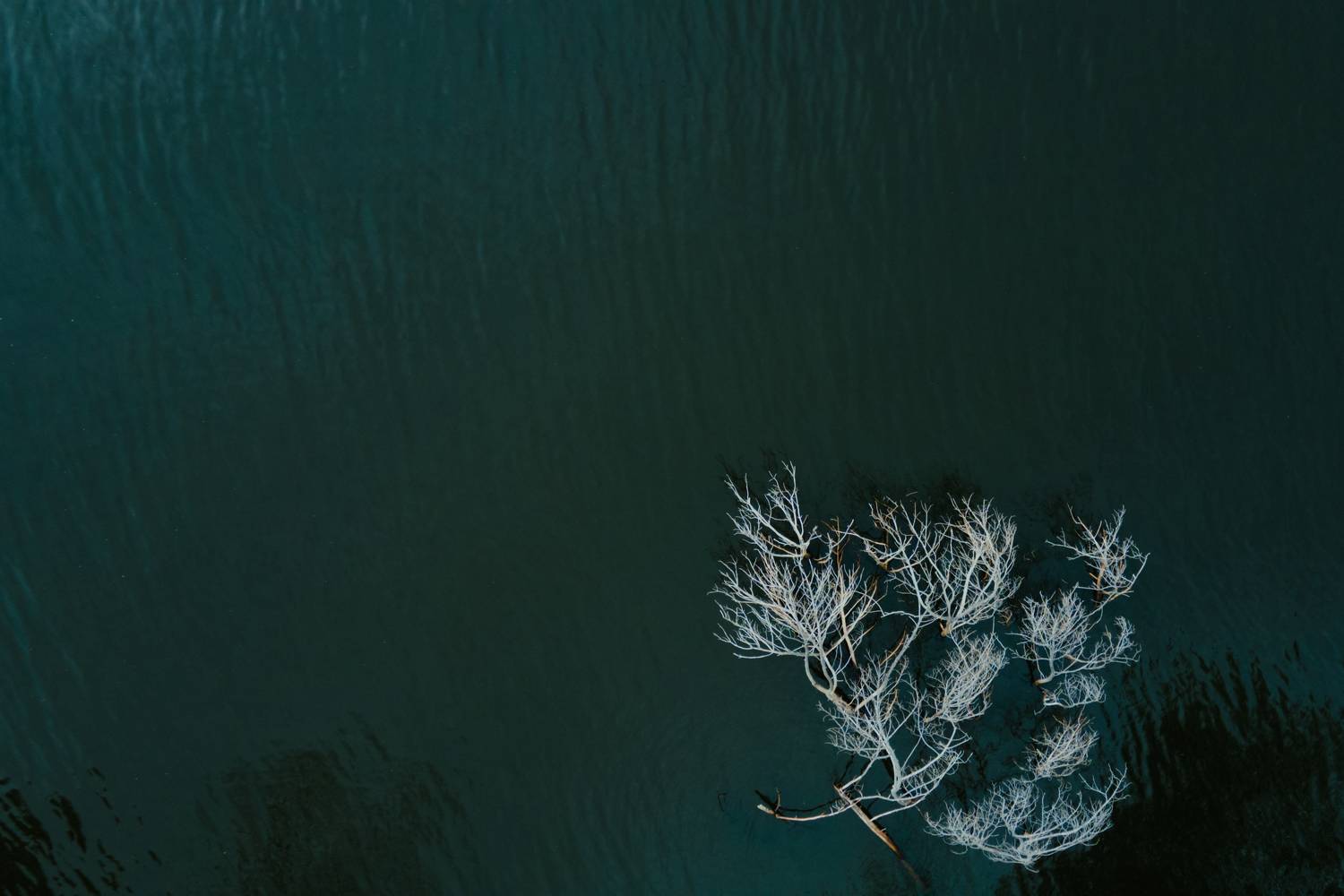 , Денис Лубсанов