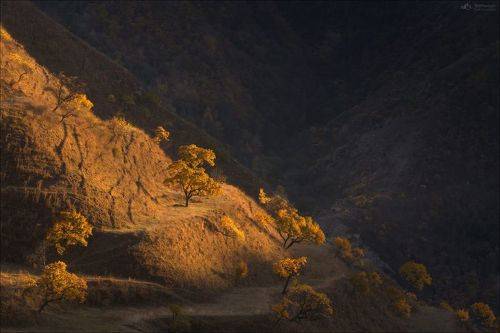 Осенний треугольник