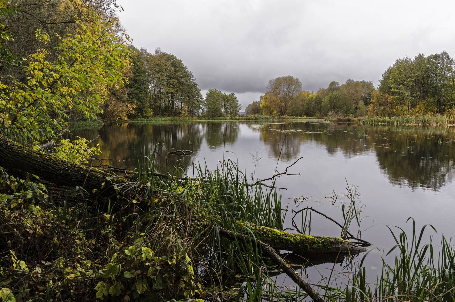 , Шитов Александр