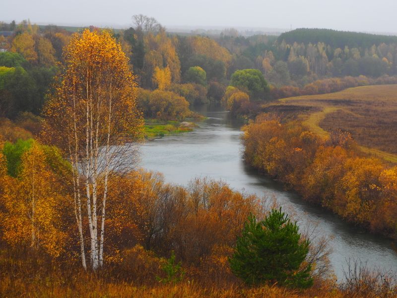 Осень на реке фото превью