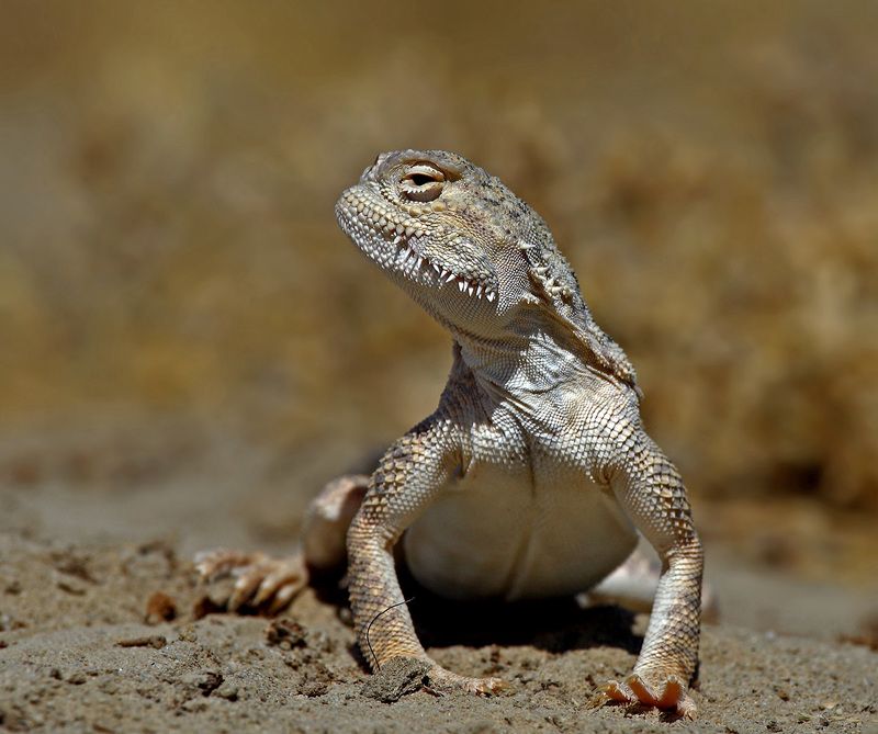 «Мы ждём перемен…» фото превью