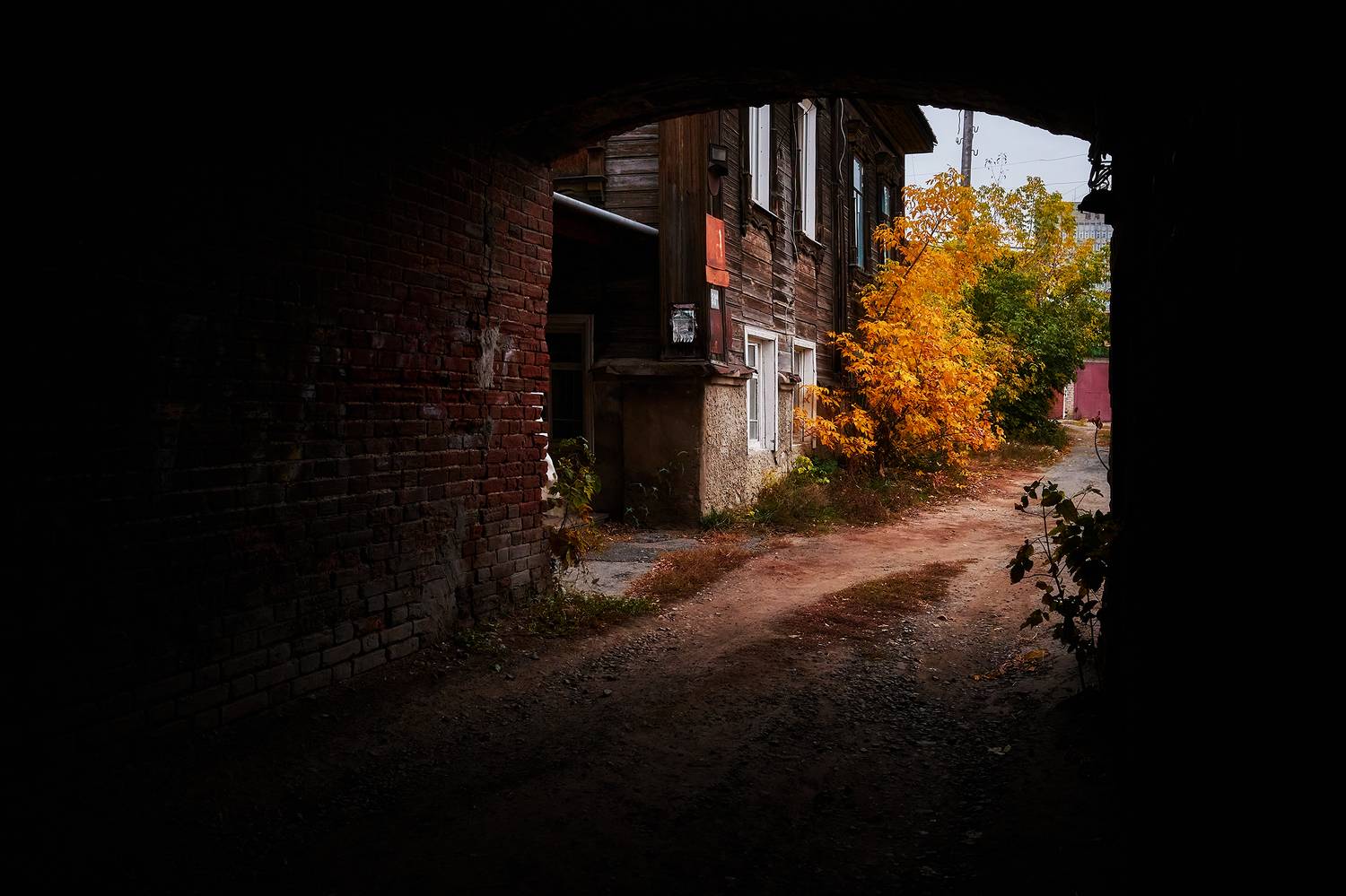 , Наталья Новикова