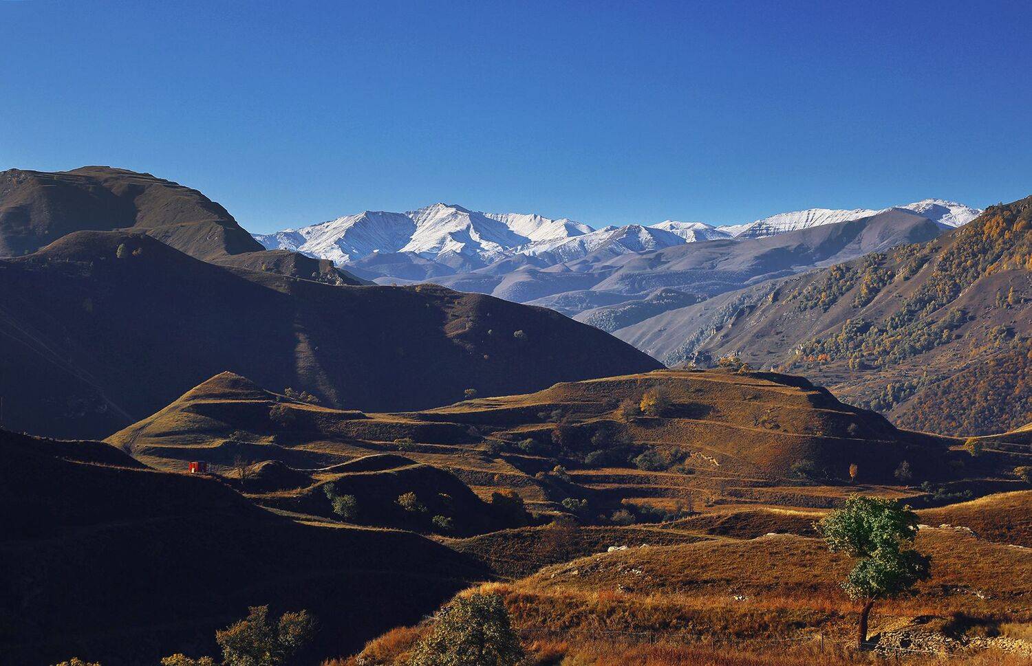 террасы,горы,рассвет,утро,чох,дагестан,, Magov Marat