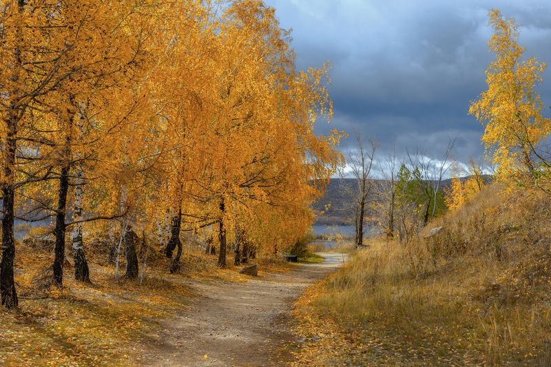 осень, осенние краски Золотой октябрь фото превью