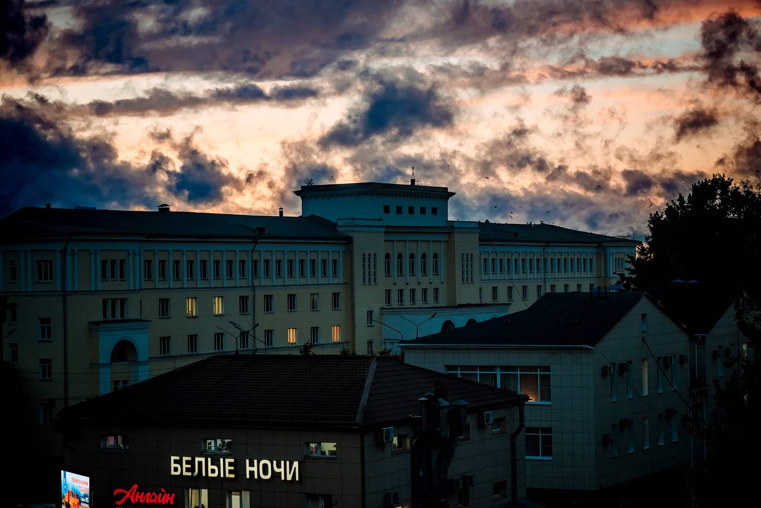 , Николай Смолянкин