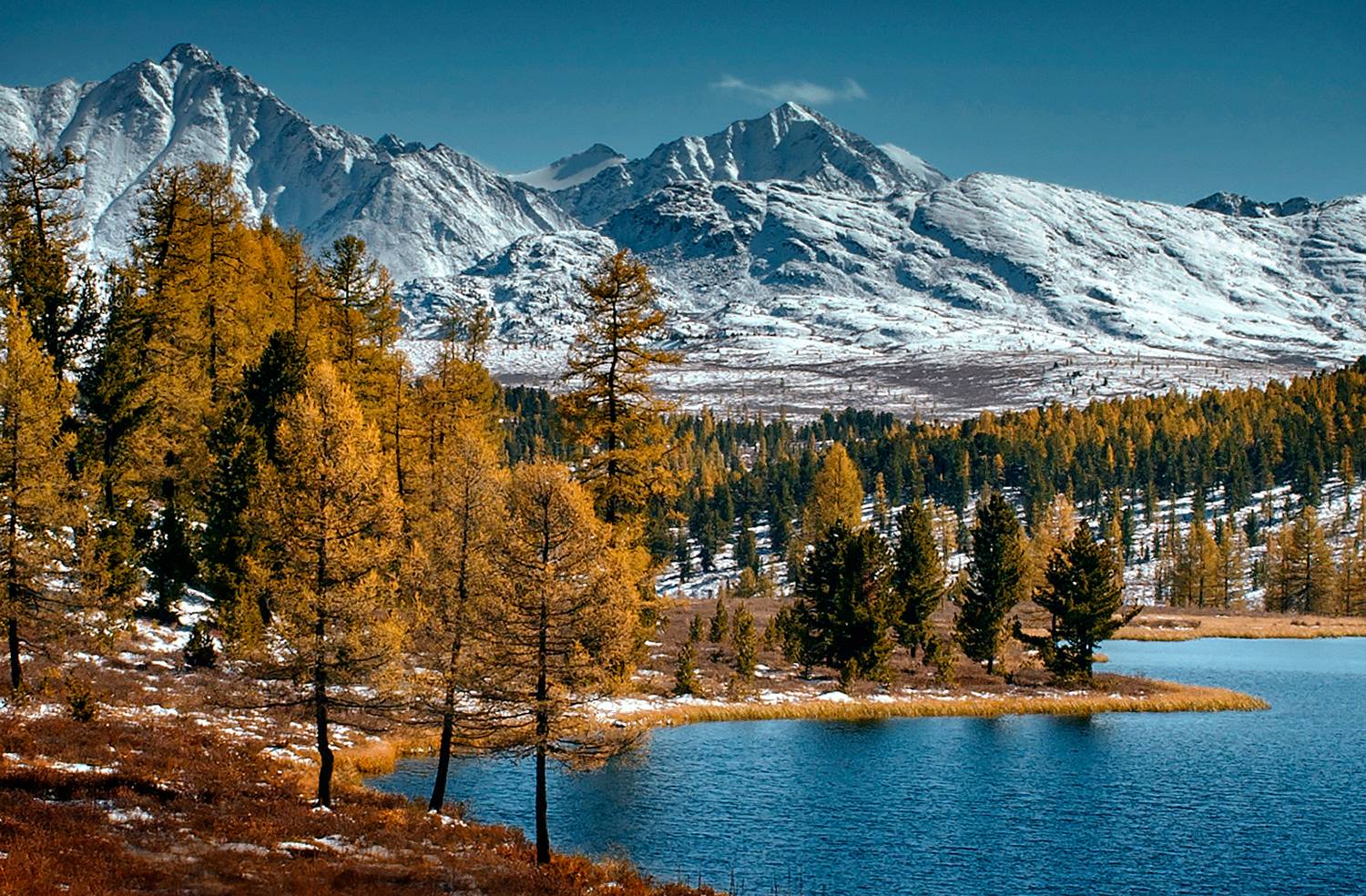 , Алексей Родак