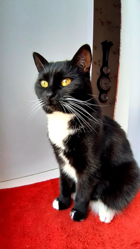 Эти глаза напротив фото превью