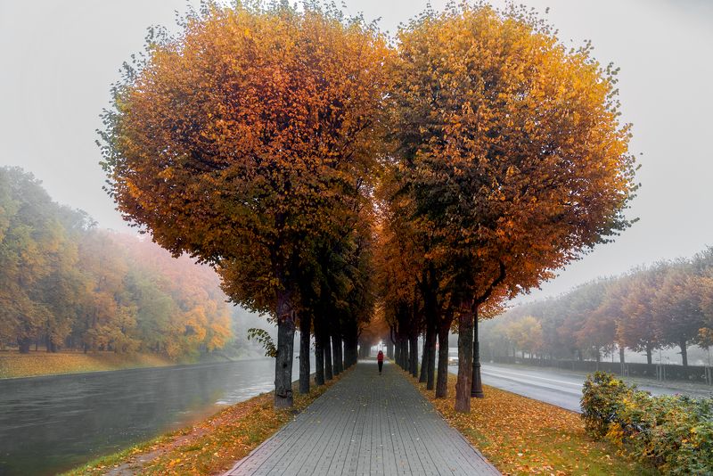 осень осень... фото превью