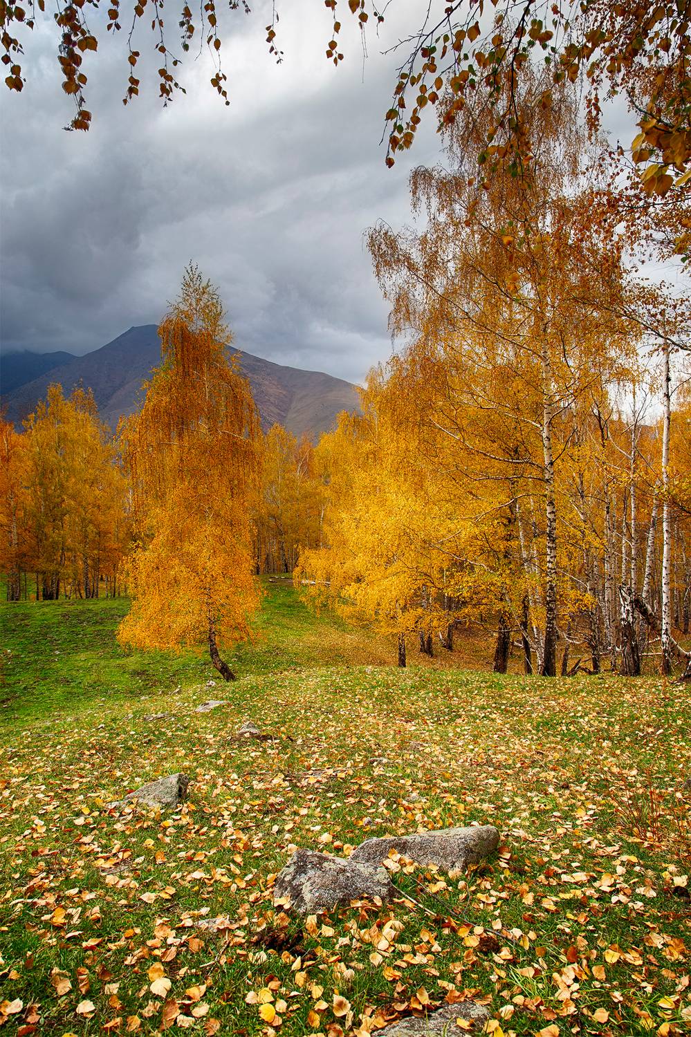 кыргызстан, ала-арча, Элина Магалимова