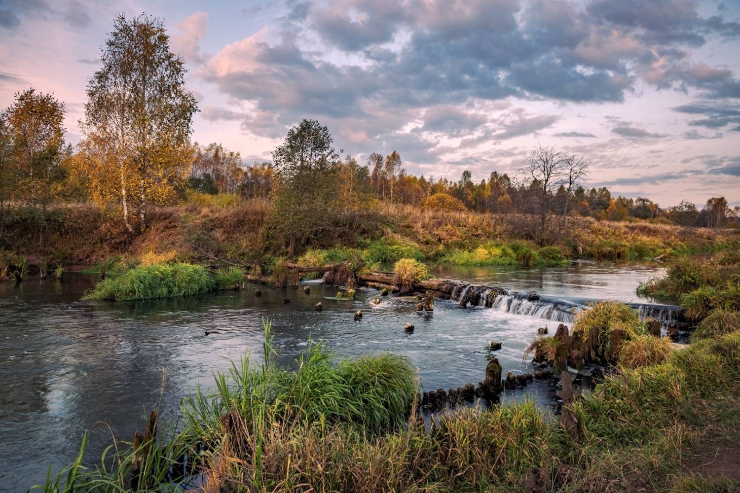 , Евгений Ерохин