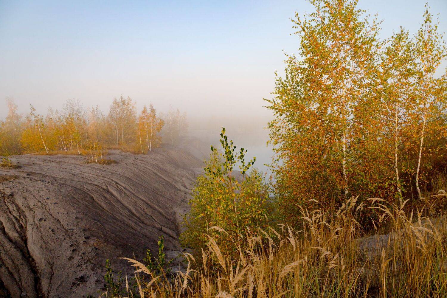утро, туман, карьер, березы, пейзаж, Юрий Морозов
