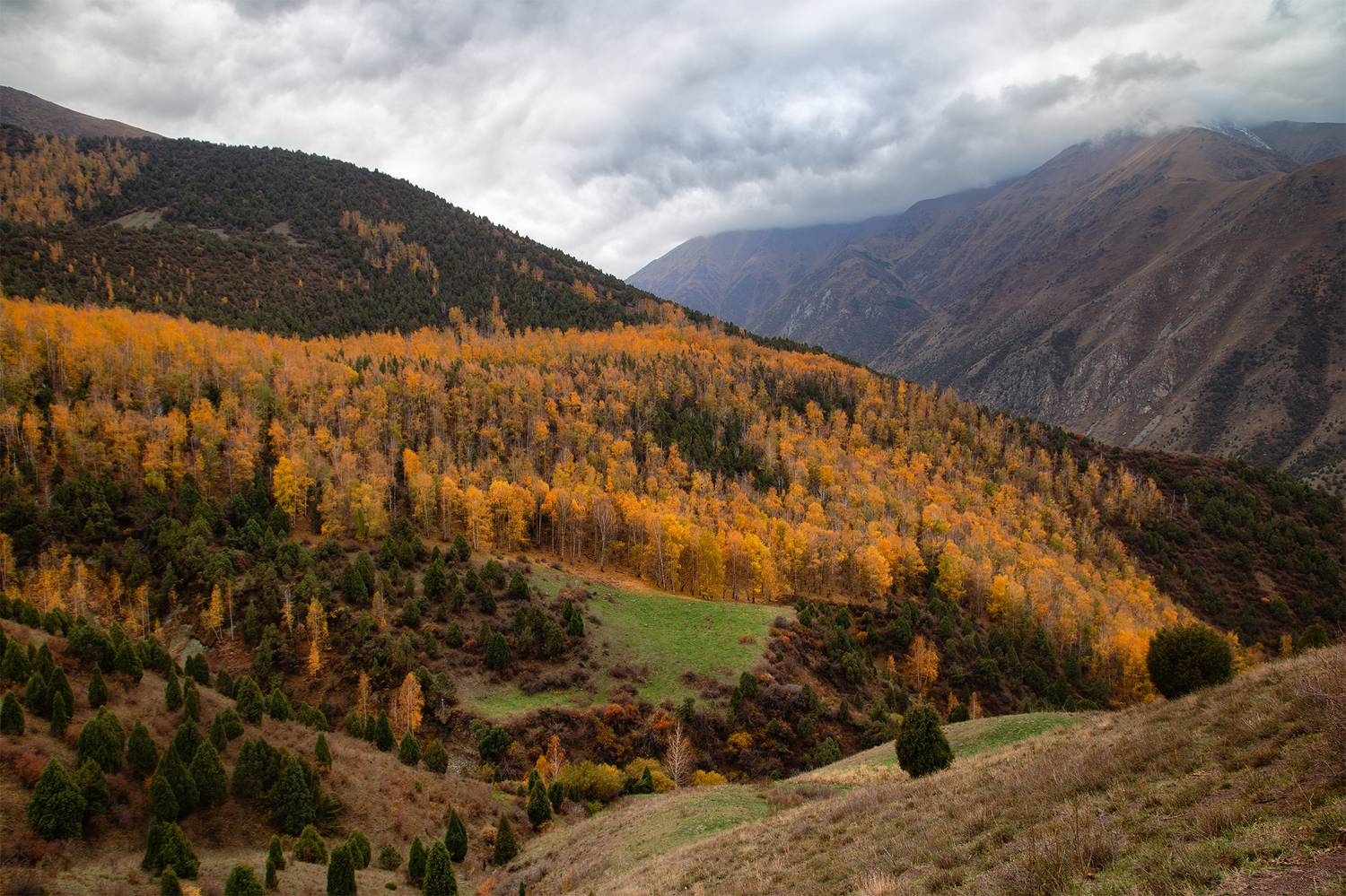 кыргызстан, ала-арча, Элина Магалимова