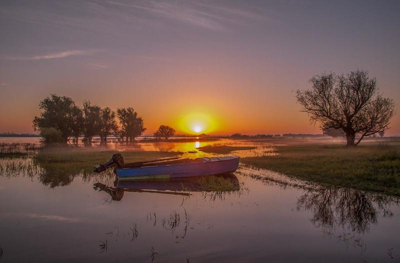 у села  камышово ТИХАЯ  ГАВАНЬ фото превью